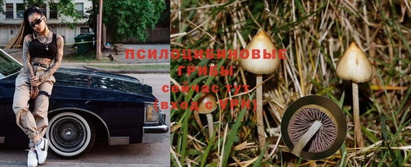 Альфа ПВП Вязьма