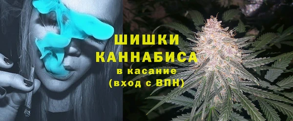 Альфа ПВП Вязьма