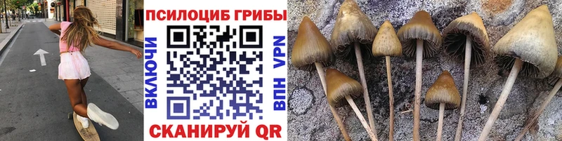 Псилоцибиновые грибы мицелий  Зея 